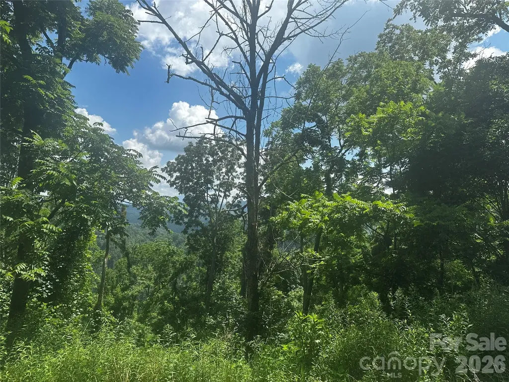 674 John Sparks Road Bakersville NC 28705