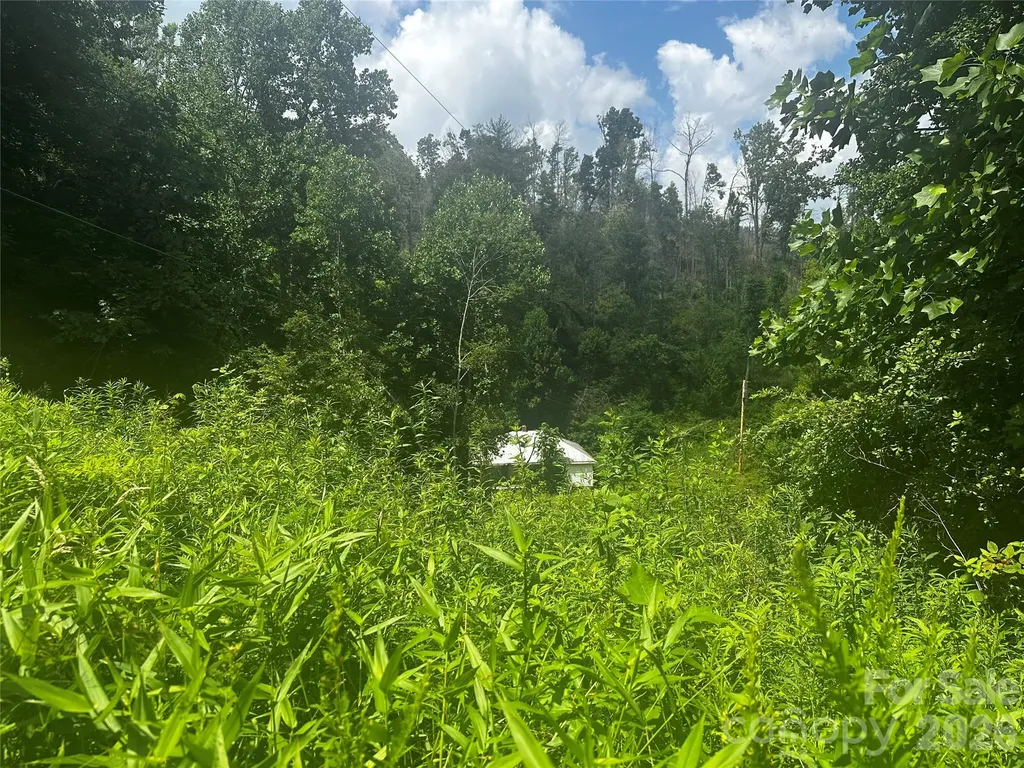 674 John Sparks Road Bakersville NC 28705