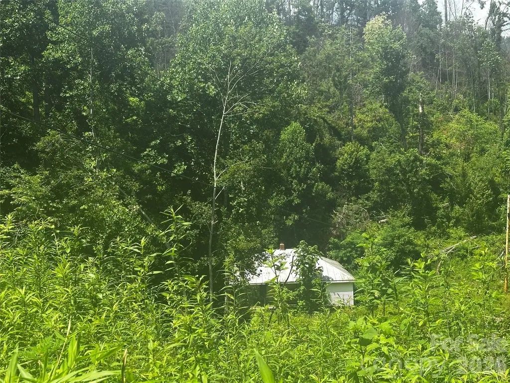 674 John Sparks Road Bakersville NC 28705