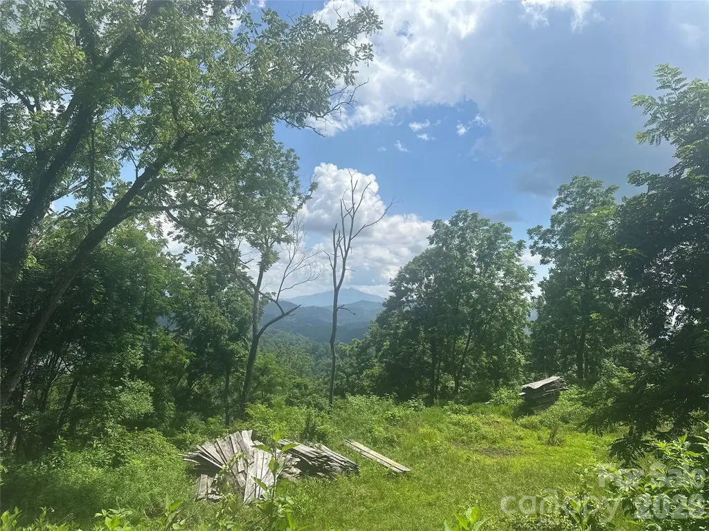 674 John Sparks Road Bakersville NC 28705