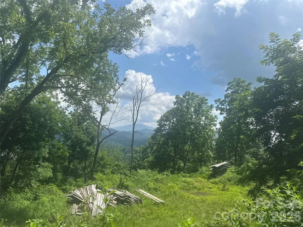 674 John Sparks Road Bakersville NC 28705