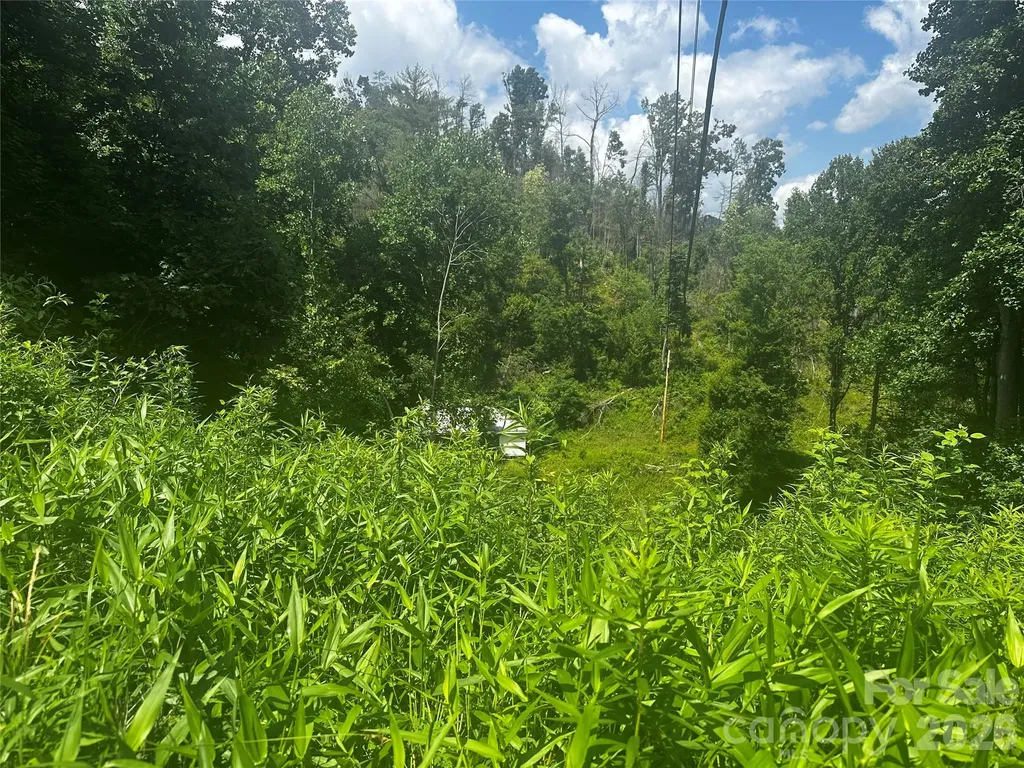 674 John Sparks Road Bakersville NC 28705