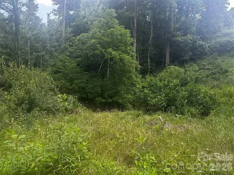 674 John Sparks Road Bakersville NC 28705