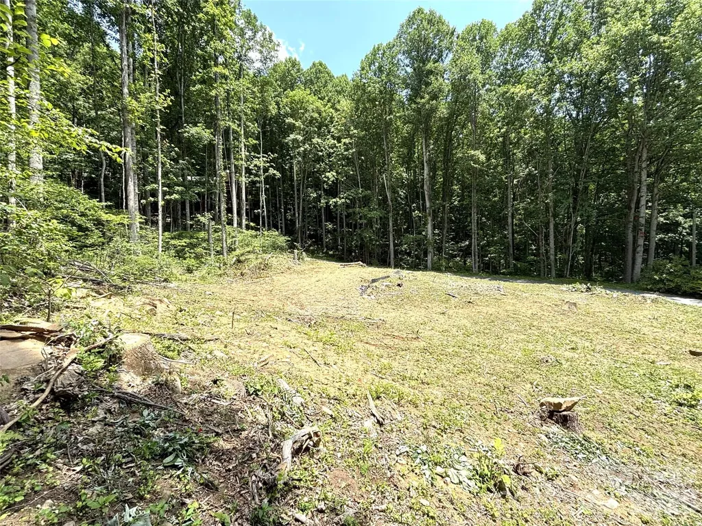 21 Club Crest Drive Maggie Valley NC 28751