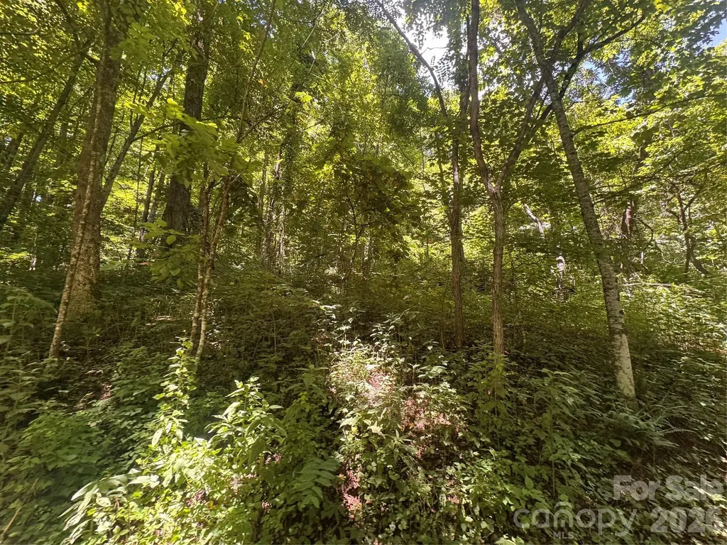 505 Mountainside Drive Waynesville NC 28786
