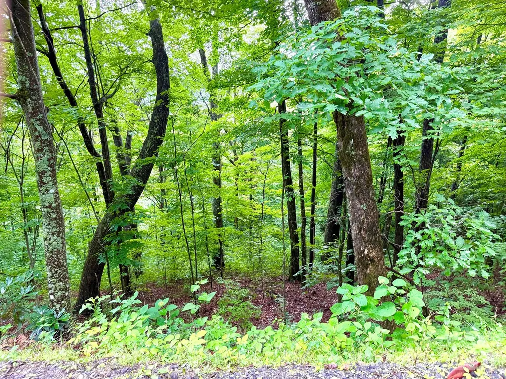 505 Mountainside Drive Waynesville NC 28786