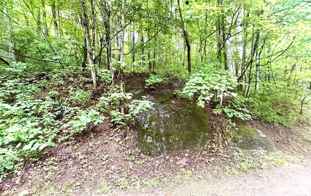 505 Mountainside Drive Waynesville NC 28786