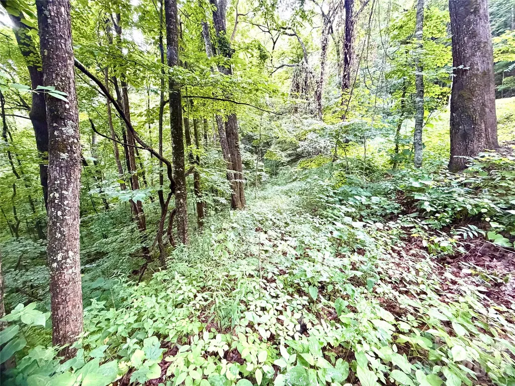 505 Mountainside Drive Waynesville NC 28786