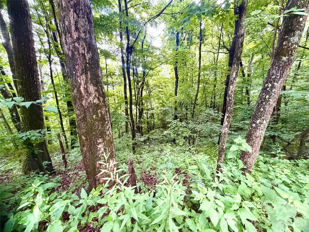 505 Mountainside Drive Waynesville NC 28786