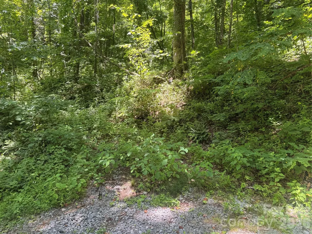 505 Mountainside Drive Waynesville NC 28786