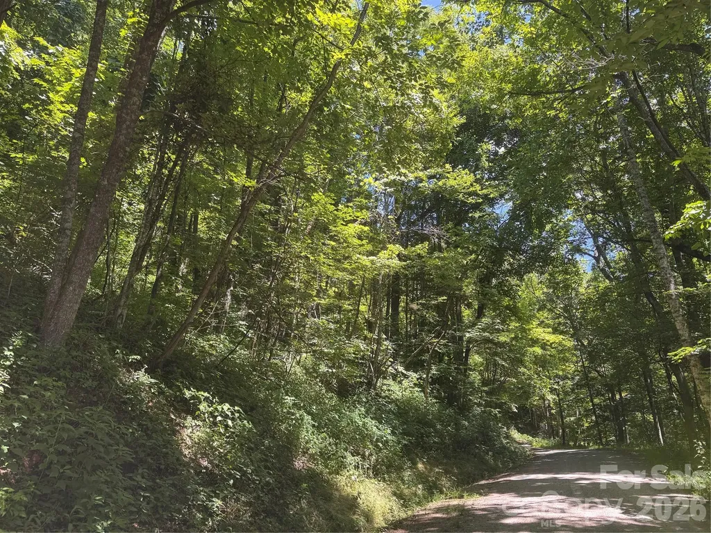 505 Mountainside Drive Waynesville NC 28786