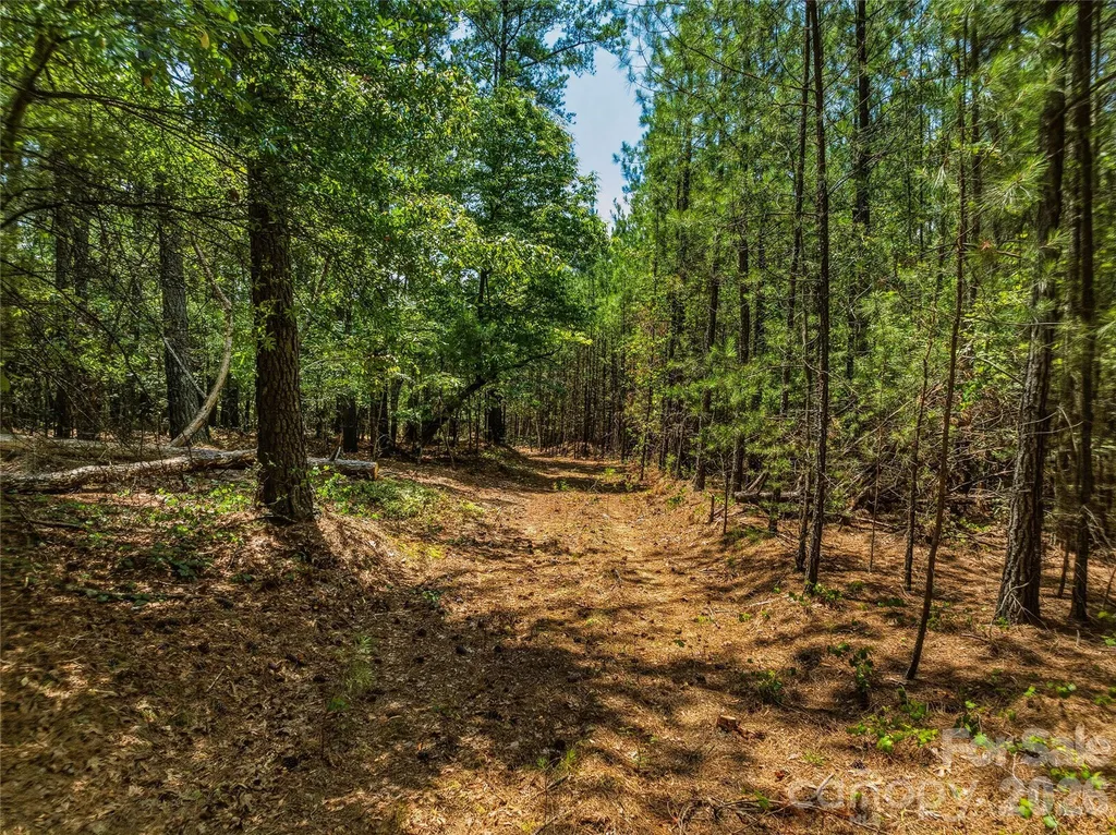 6783 Peniel Road Tryon NC 28782