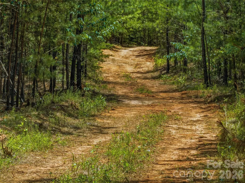 6783 Peniel Road Tryon NC 28782
