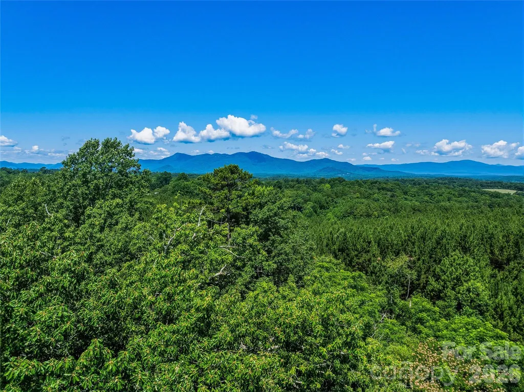 6783 Peniel Road Tryon NC 28782