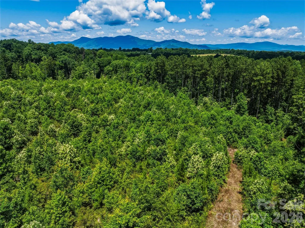 6783 Peniel Road Tryon NC 28782