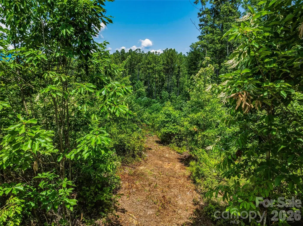 6783 Peniel Road Tryon NC 28782