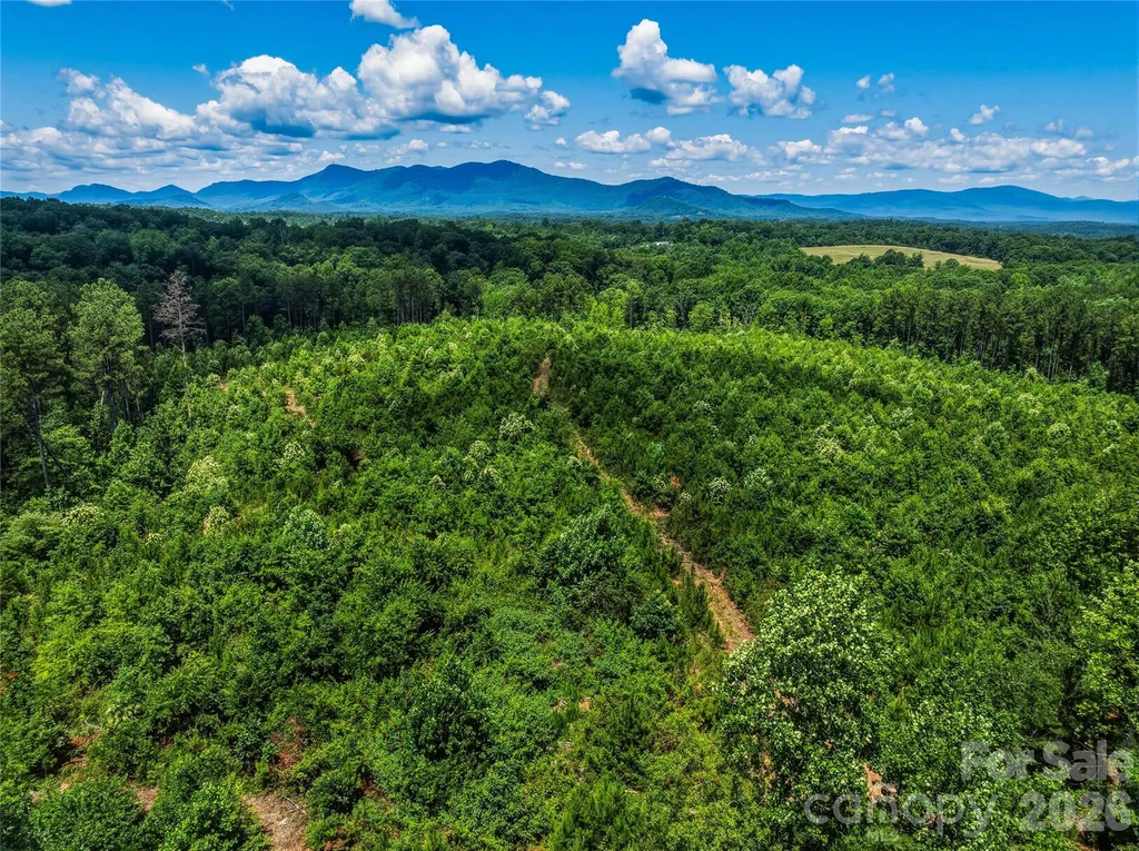 6783 Peniel Road Tryon NC 28782