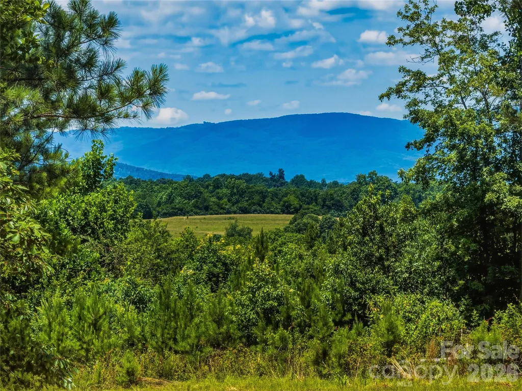 6783 Peniel Road Tryon NC 28782