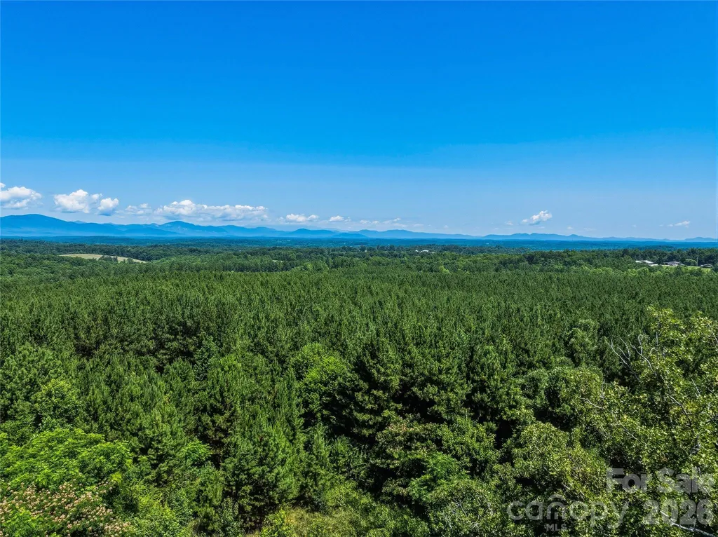 6783 Peniel Road Tryon NC 28782