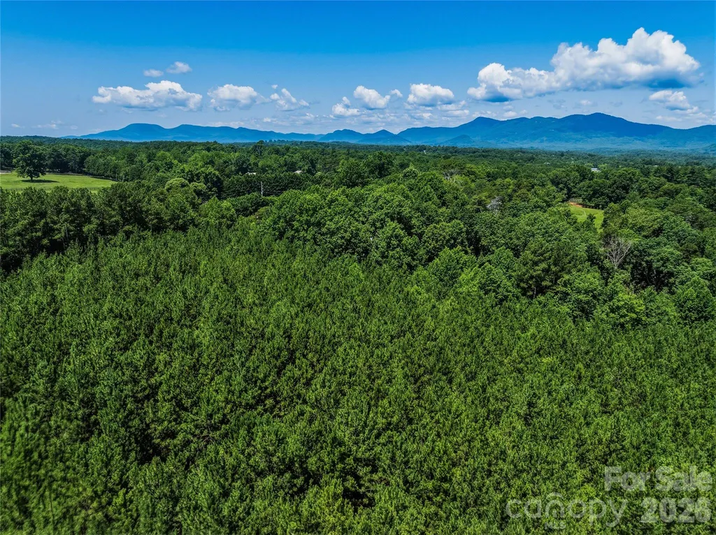 6783 Peniel Road Tryon NC 28782