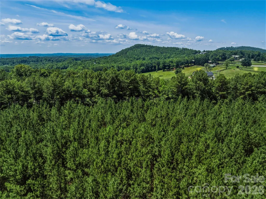 6783 Peniel Road Tryon NC 28782