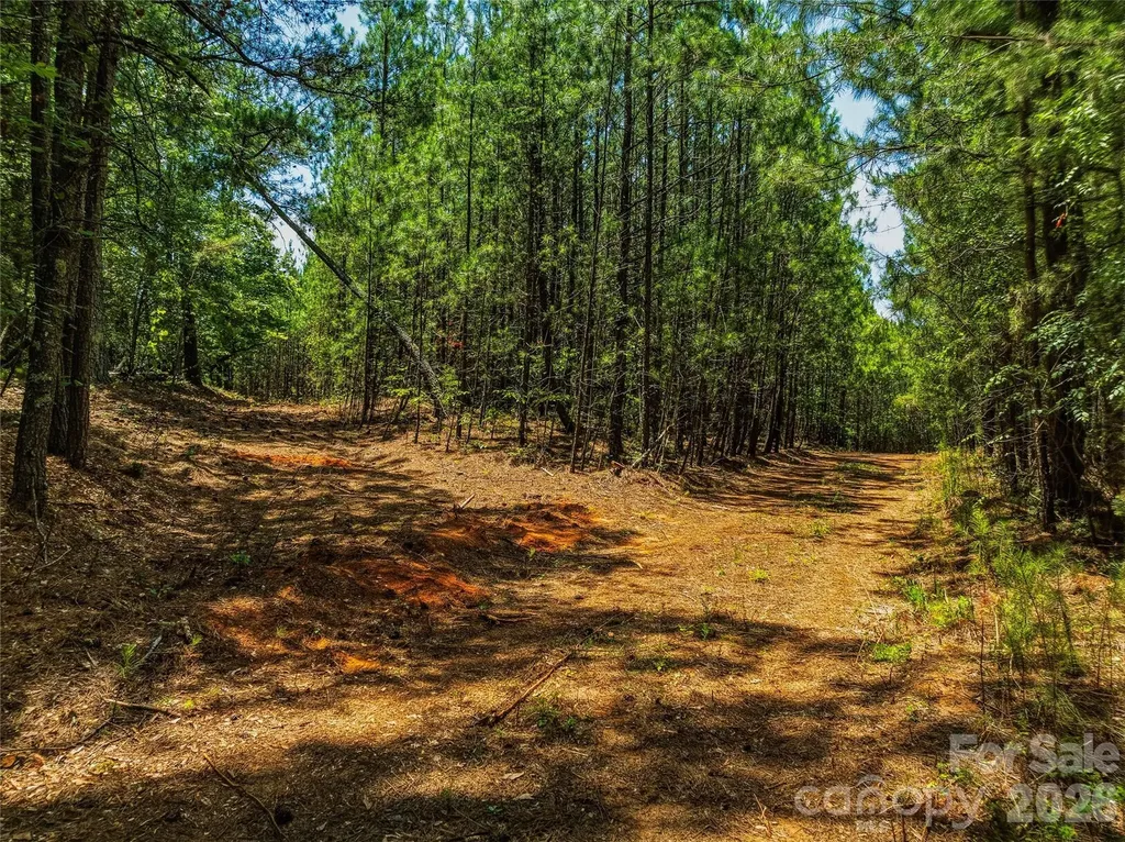 6783 Peniel Road Tryon NC 28782
