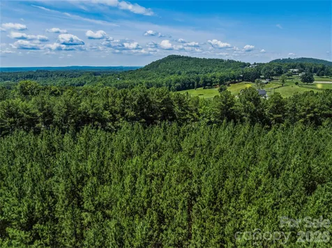 6783 Peniel Road Tryon NC 28782