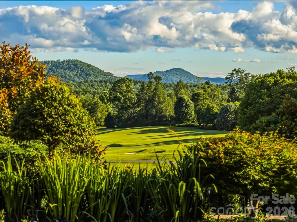 7 Stuyvesant Road Biltmore Forest NC 28803