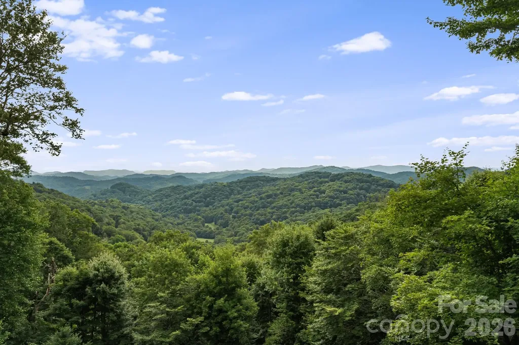 692 Mckinney Gap Drive Mars Hill NC 28754