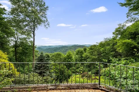 692 Mckinney Gap Drive Mars Hill NC 28754