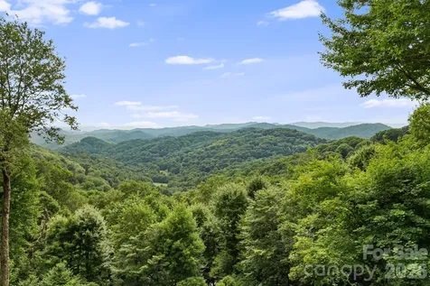 692 Mckinney Gap Drive Mars Hill NC 28754