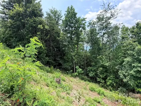 0 Golden Ridge Drive Lake Lure NC 28746