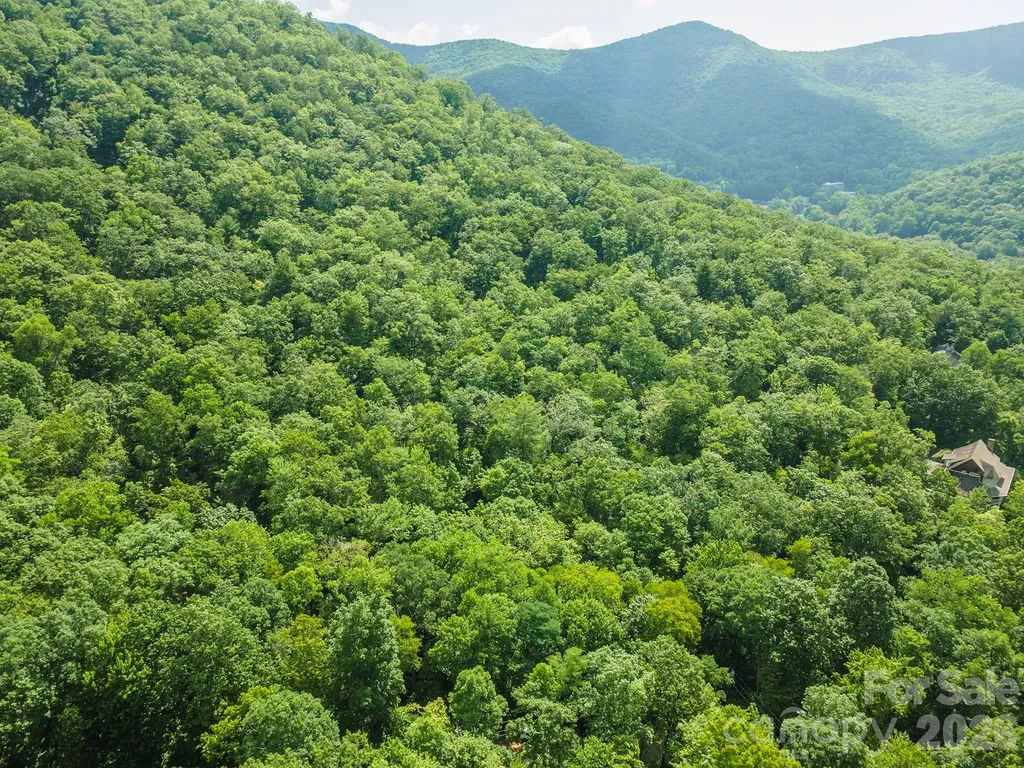 212 Harmony Lane Montreat NC 28757