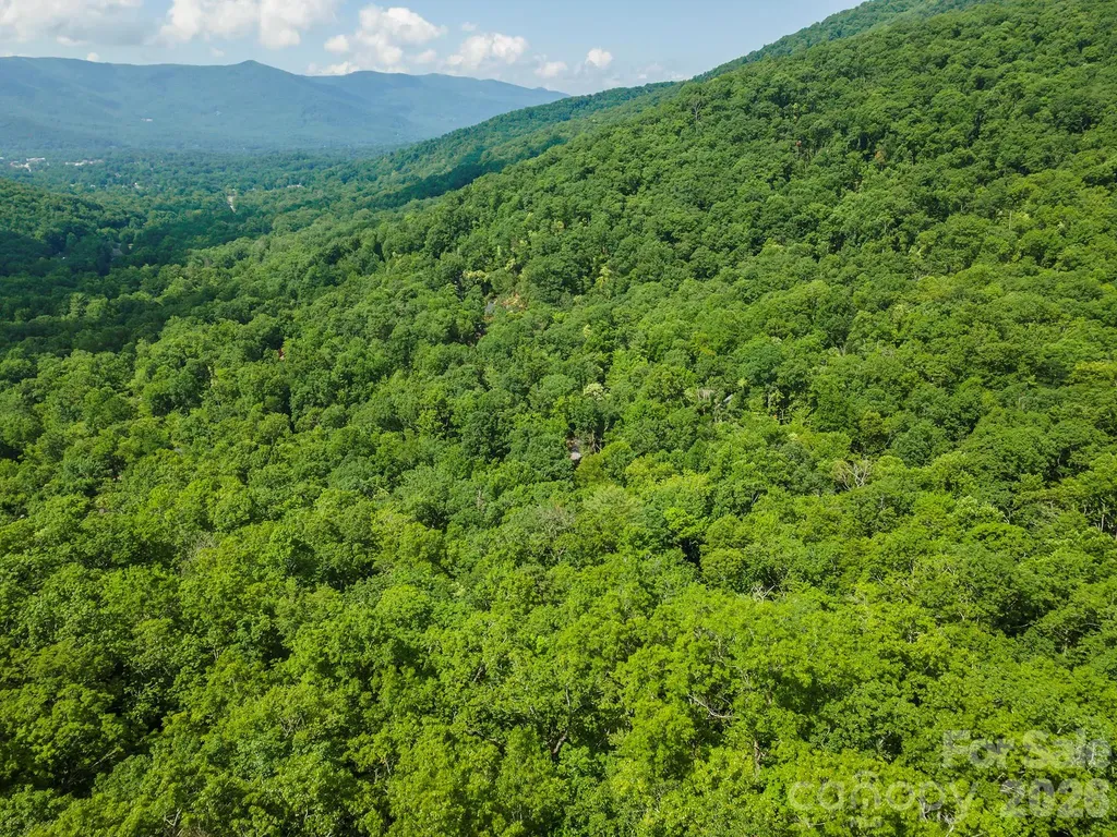 212 Harmony Lane Montreat NC 28757