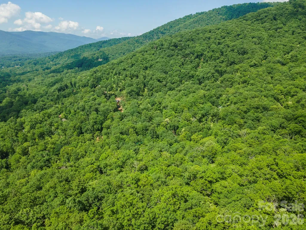 212 Harmony Lane Montreat NC 28757