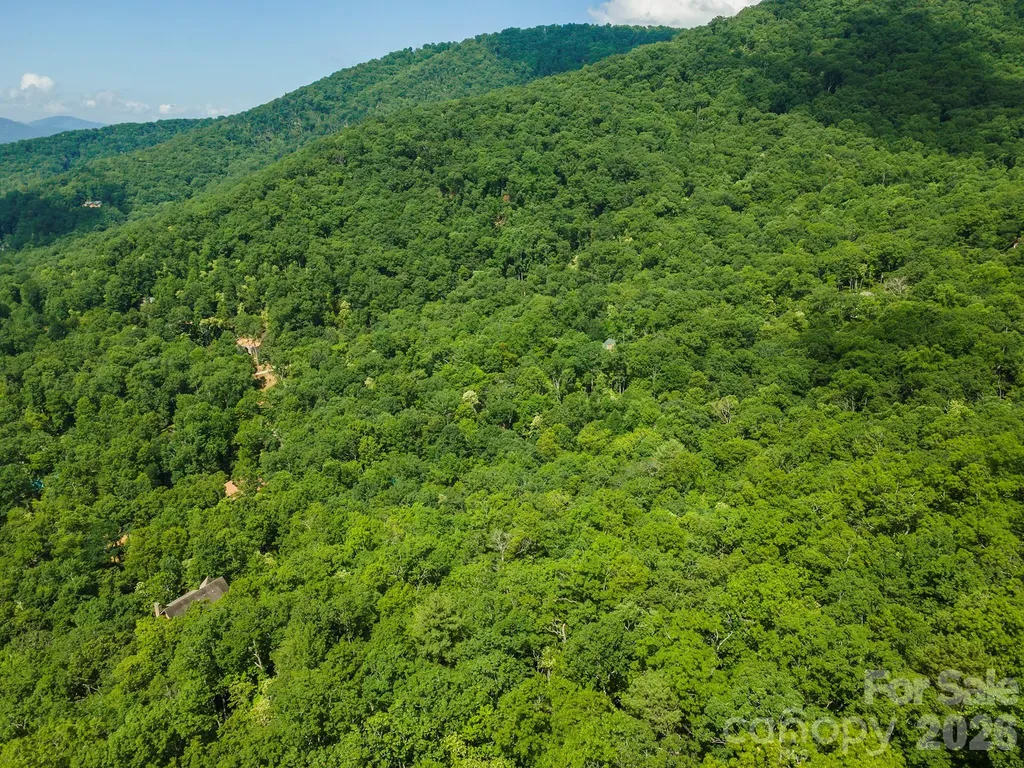 212 Harmony Lane Montreat NC 28757