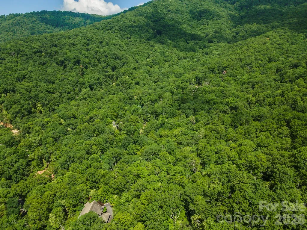 212 Harmony Lane Montreat NC 28757