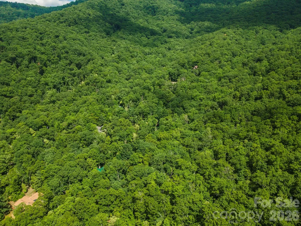 212 Harmony Lane Montreat NC 28757