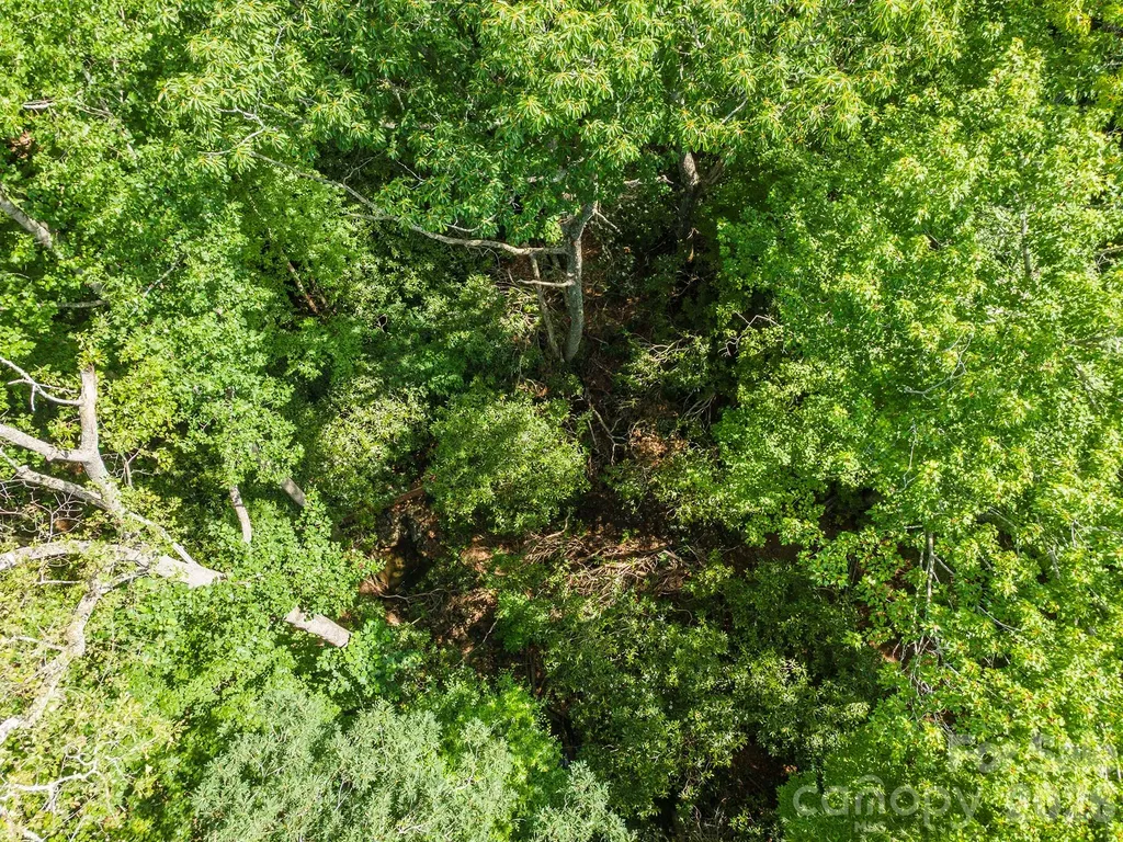 212 Harmony Lane Montreat NC 28757