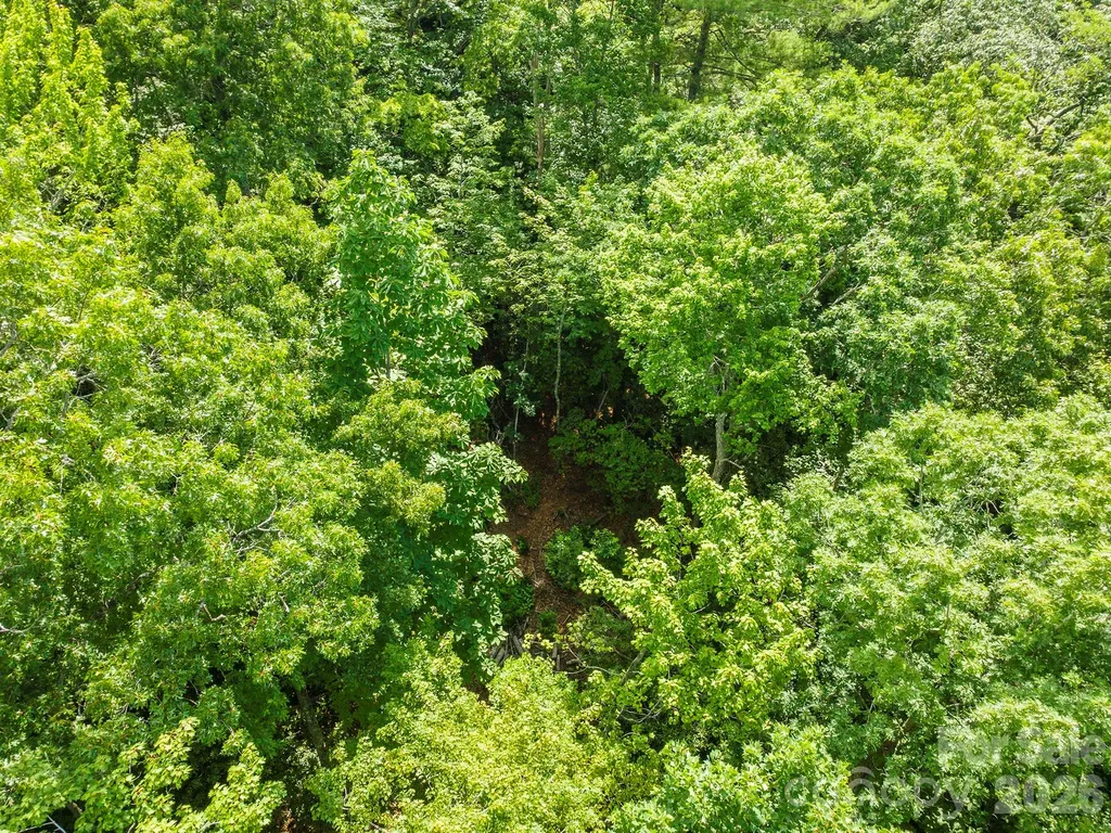 212 Harmony Lane Montreat NC 28757