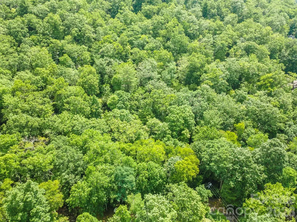 212 Harmony Lane Montreat NC 28757