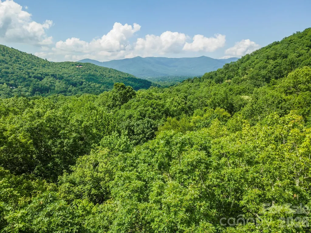 212 Harmony Lane Montreat NC 28757