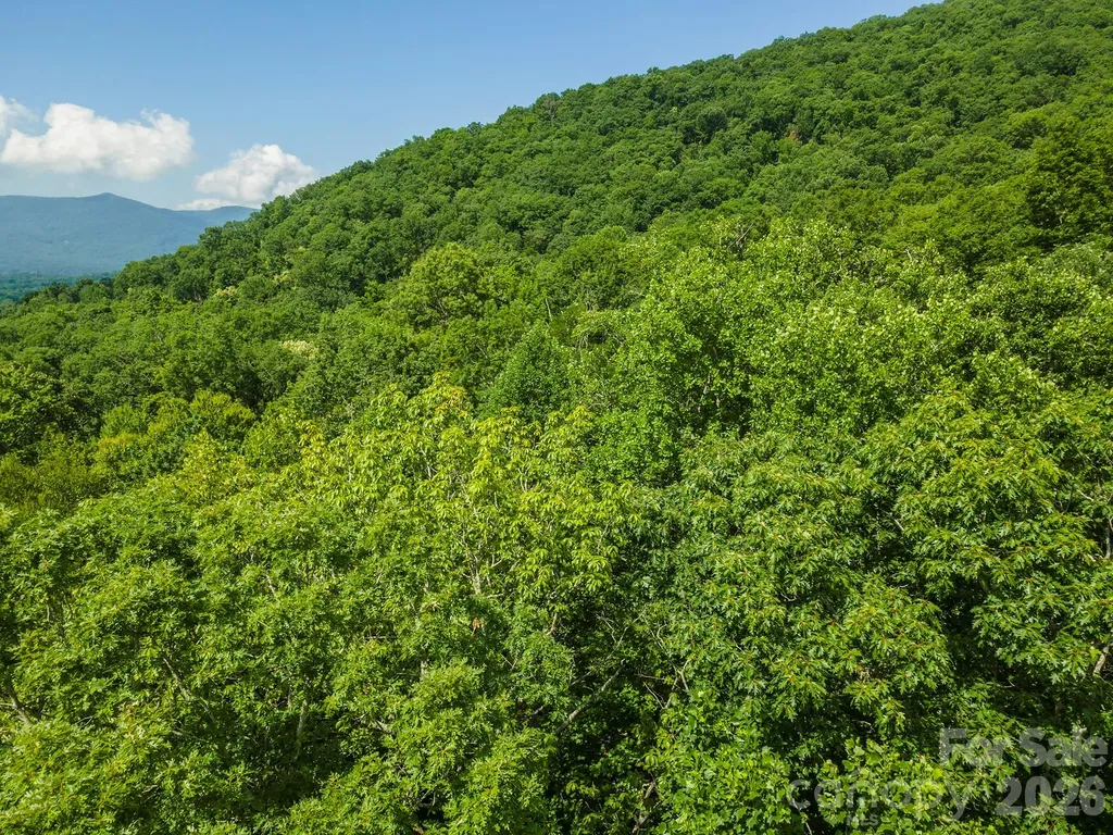 212 Harmony Lane Montreat NC 28757