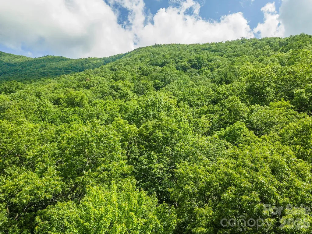 212 Harmony Lane Montreat NC 28757