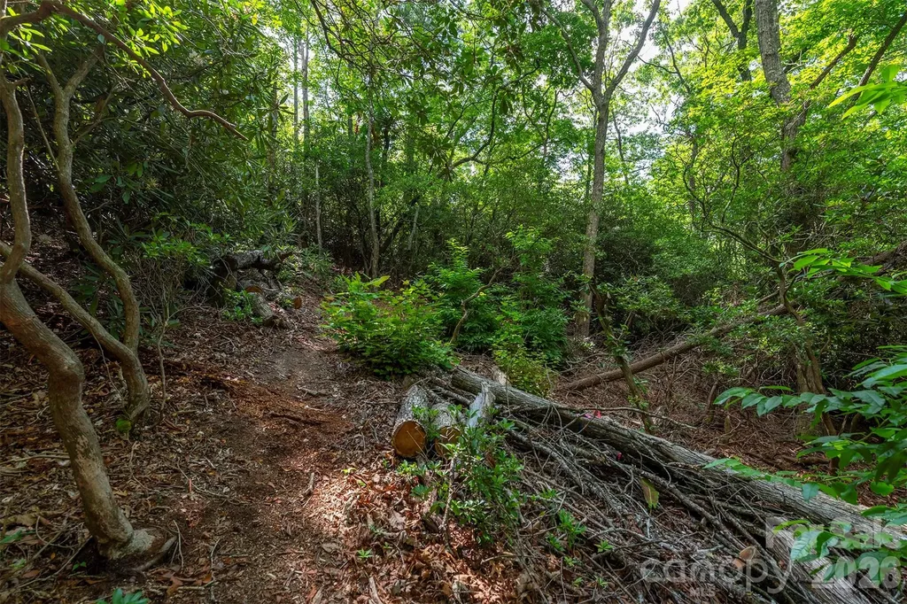 212 Harmony Lane Montreat NC 28757