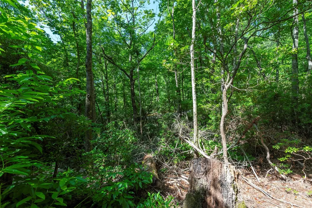 212 Harmony Lane Montreat NC 28757