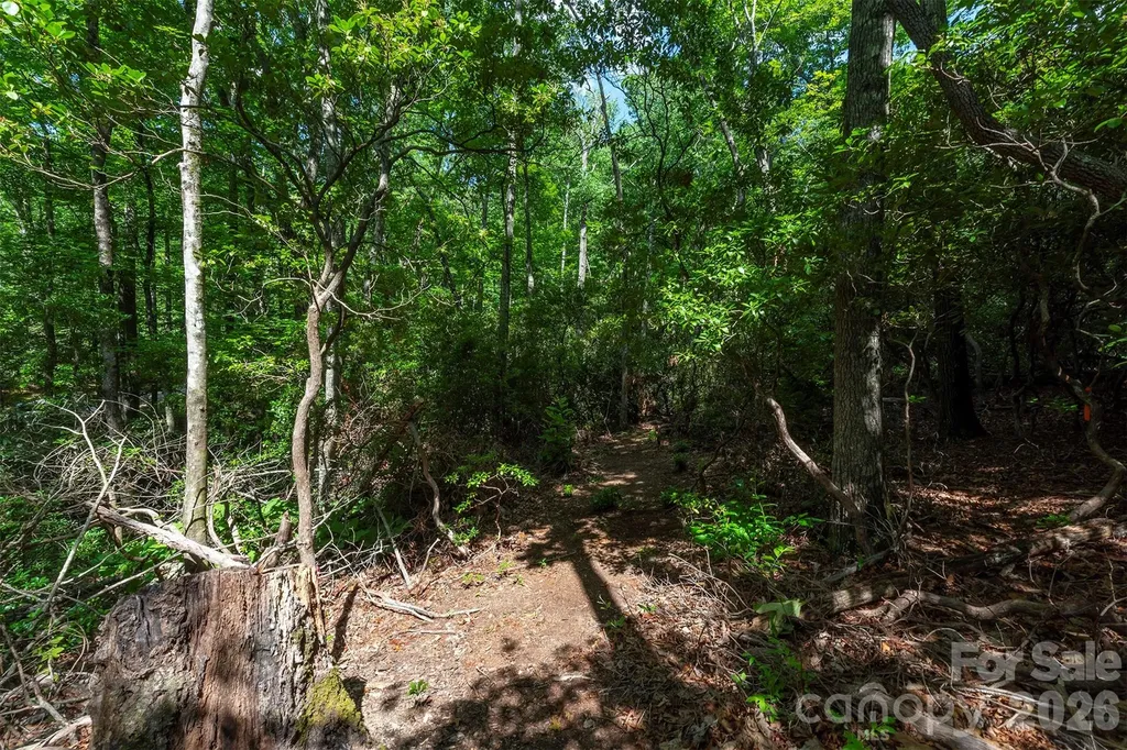 212 Harmony Lane Montreat NC 28757