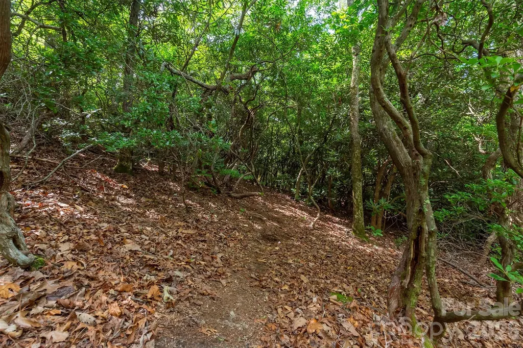 212 Harmony Lane Montreat NC 28757