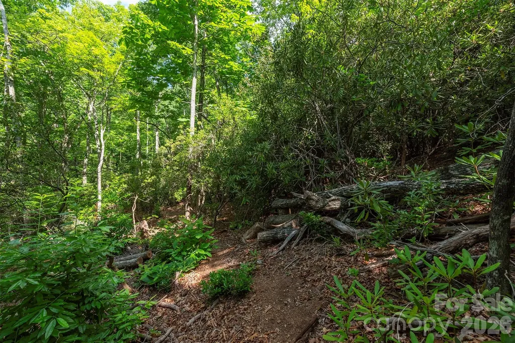 212 Harmony Lane Montreat NC 28757