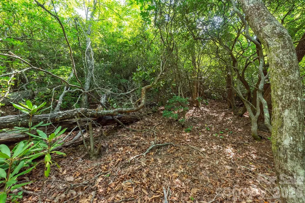 212 Harmony Lane Montreat NC 28757